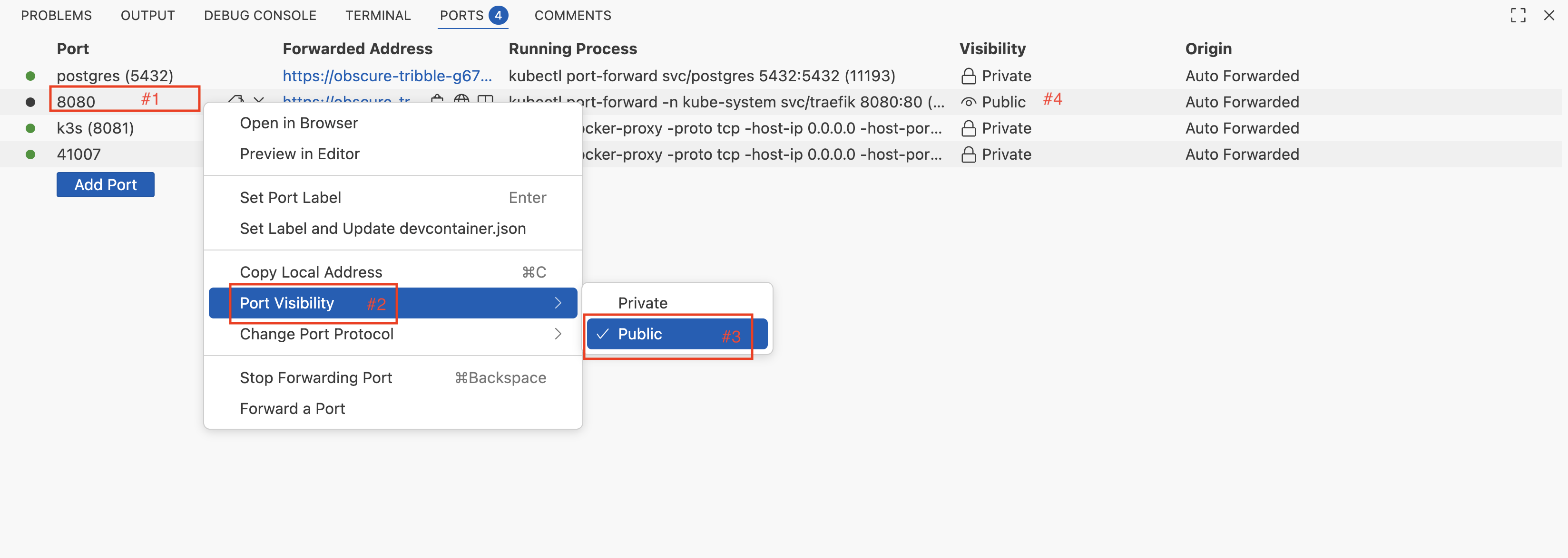 VS Code Ports tab showing how to make port 8080 public
