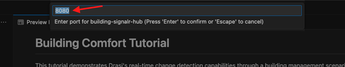 VS Code prompt to enter port number 8080 for tunnel