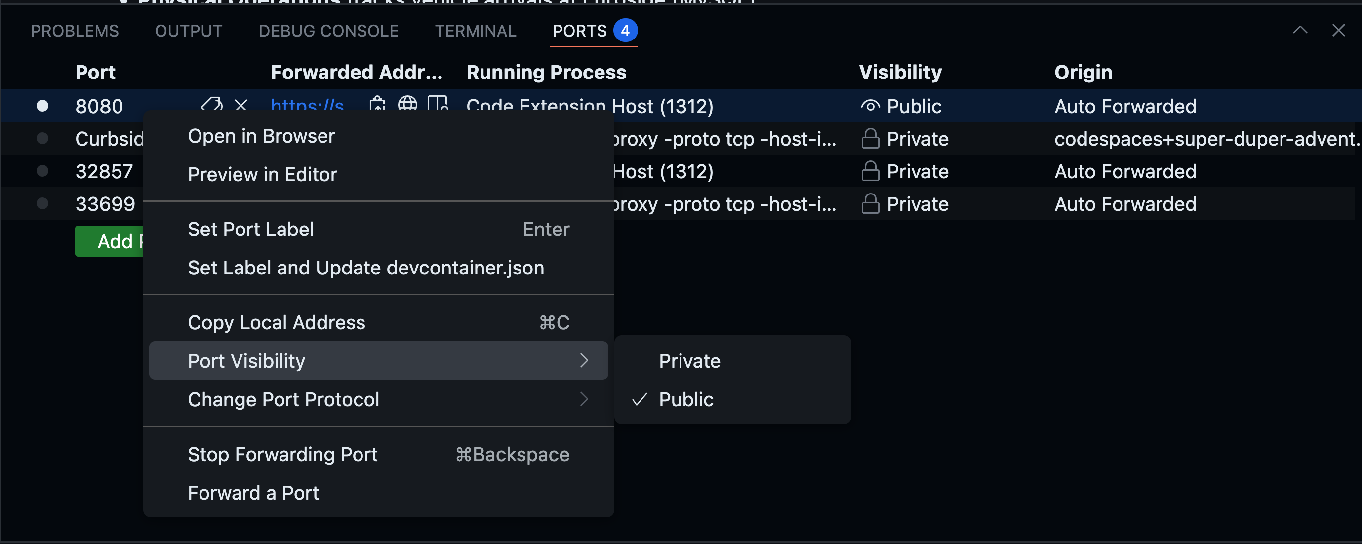VS Code Ports tab showing how to make port 8080 public