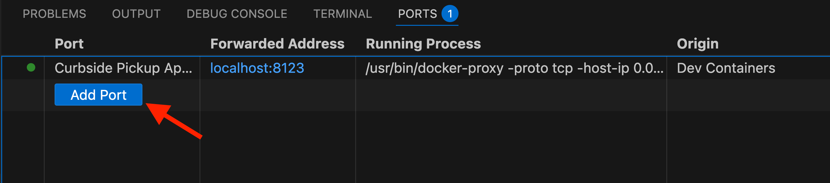 VS Code Ports tab showing Add Port button