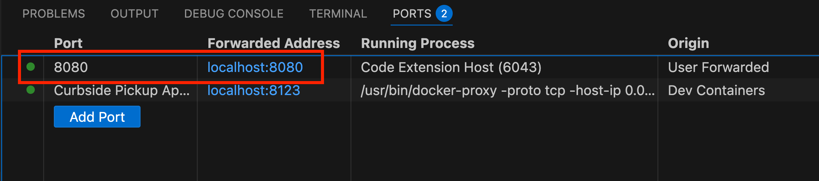 VS Code Ports tab showing port 8080 forwarded to localhost