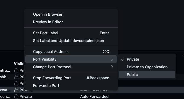 Screenshot showing how to make your port public.